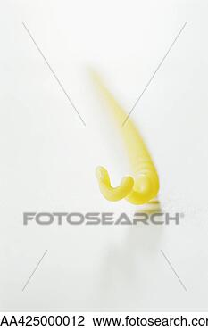 Stock Photo - fusilli bucati 
lunghi pasta. 
fotosearch - search 
stock photos, 
pictures, images, 
and photo clipart