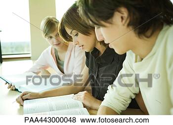 Stock Photo - college students 
studying together. 
fotosearch - search 
stock photos, 
pictures, images, 
and photo clipart