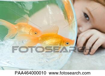 Stock Photography - little girl peeking 
around goldfish 
bowl, close-up. 
fotosearch - search 
stock photos, 
pictures, images, 
and photo clipart