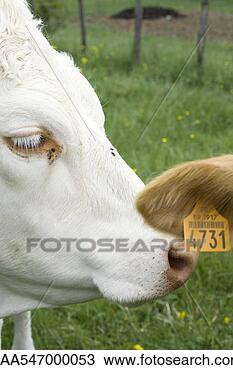 Stock Photo - 