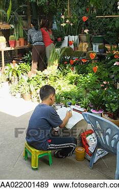 Stock Photograph - plant shop. fotosearch 
- search stock 
photos, pictures, 
images, and photo 
clipart