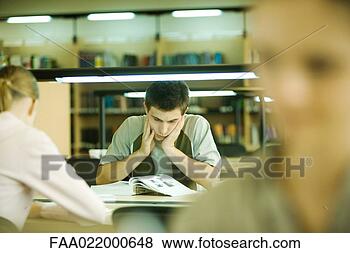 Stock Photo - students studying 
in library. fotosearch 
- search stock 
photos, pictures, 
images, and photo 
clipart