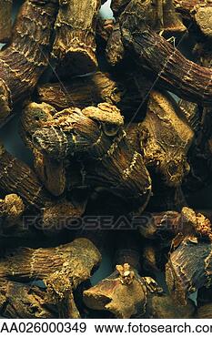 Stock Photograph - ginseng roots, 
extreme close-up, 
full frame. fotosearch 
- search stock 
photos, pictures, 
images, and photo 
clipart