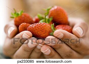 Stock Image - woman holding 
strawberries. 
fotosearch - search 
stock photos, 
pictures, images, 
and photo clipart
