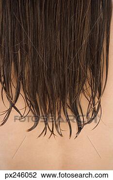 Stock Photo - wet hair. fotosearch 
- search stock 
photos, pictures, 
images, and photo 
clipart