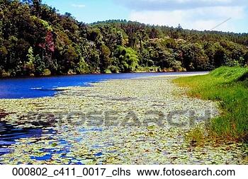 Stock Photo - rural,  kuranda, 
 nature,  australia, 
 queensland,  
tree-lined. fotosearch 
- search stock 
photos, pictures, 
images, and photo 
clipart
