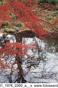 Stock Photo - brook, ambiance, 
badlands, backdrop, 
aquatic, cache, 
afternoon. fotosearch 
- search stock 
photos, pictures, 
images, and photo 
clipart