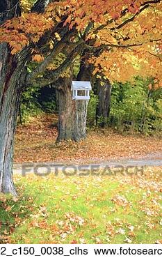 Stock Photo - leaves, foliage, 
bird feeder, fall, 
branches, rural, 
autumn. fotosearch 
- search stock 
photos, pictures, 
images, and photo 
clipart