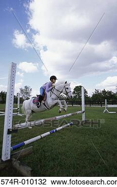 Stock Photo - shetland pony. 
fotosearch - search 
stock photos, 
pictures, images, 
and photo clipart