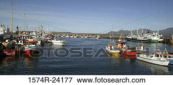 Picture - boats moored in 
a harbor, olafsvik, 
iceland. fotosearch 
- search stock 
photos, pictures, 
images, and photo 
clipart