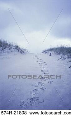 Stock Photo - footprints in 
the sand. fotosearch 
- search stock 
photos, pictures, 
images, and photo 
clipart