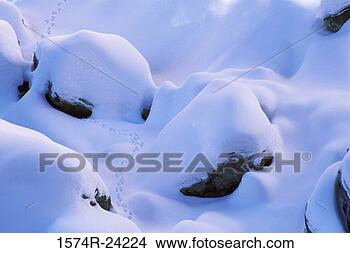 Stock Photo - high angle view 
of snow covered 
rocks,  newberry 
national volcanic. 
fotosearch - search 
stock photos, 
pictures, images, 
and photo clipart