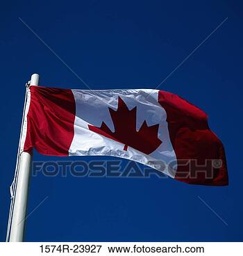Picture - low angle view 
of a canadian 
flag. fotosearch 
- search stock 
photos, pictures, 
images, and photo 
clipart