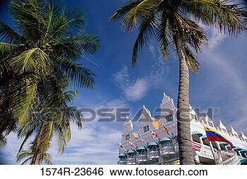 Stock Photo - palm trees in 
front of a shopping 
mall,  royal plaza 
commercial. fotosearch 
- search stock 
photos, pictures, 
images, and photo 
clipart