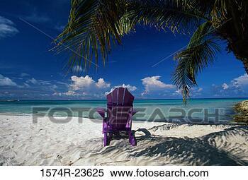 Stock Image - rear view of a 
chair on the beach, 
aruba. fotosearch 
- search stock 
photos, pictures, 
images, and photo 
clipart