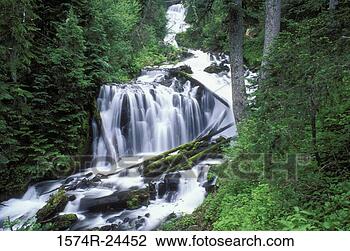 Stock Photo - waterfall in a 
forest,  hunts 
creek falls,  
mount jefferson. 
fotosearch - search 
stock photos, 
pictures, images, 
and photo clipart