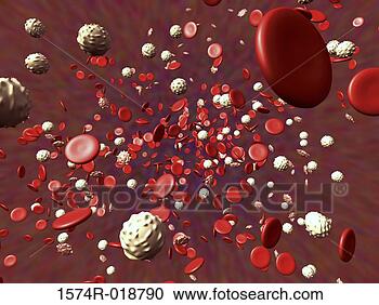 Stock Illustration - red and white 
blood cells. fotosearch 
- search clipart, 
illustration, 
drawings and vector 
eps graphics images
