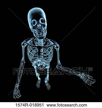 Clipart - x-ray of the human 
skeleton. fotosearch 
- search clipart, 
illustration, 
drawings and vector 
eps graphics images