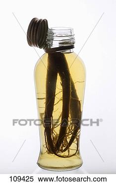 Stock Image - bottle of ginseng. 
fotosearch - search 
stock photos, 
pictures, images, 
and photo clipart
