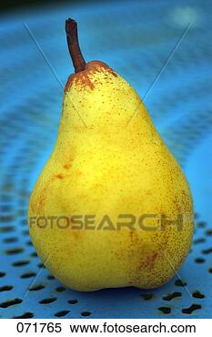Banco de Imagem - pêra. fotosearch 
- busca de fotos, 
imagens e clipart