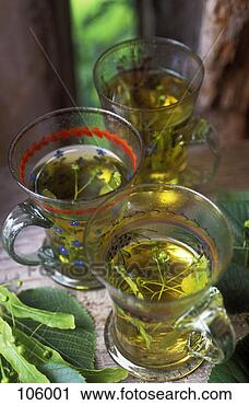 Stock Photography - lime blossom tea. 
fotosearch - search 
stock photos, 
pictures, images, 
and photo clipart
