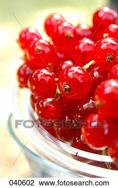 Banco de Imagem - redcurrants. fotosearch 
- busca de fotos, 
imagens e clipart