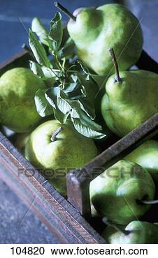 Stock Photography - pears. fotosearch 
- search stock 
photos, pictures, 
images, and photo 
clipart