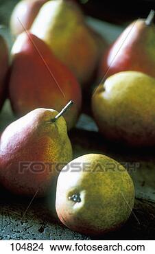 Banco de Imagem - pêras. fotosearch 
- busca de fotos, 
imagens e clipart