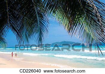库 - 长期, 海湾, 海滩, tortola, 岛, 英国人, <em>处女</em>, 岛