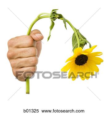close-up-hand-holding_~b01325.jpg