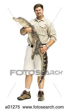 Stock Image - animal handler 
with alligator. 
fotosearch - search 
stock photos, 
pictures, images, 
and photo clipart