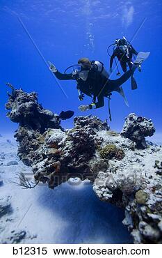 Stock Image - couple scuba diving. 
fotosearch - search 
stock photos, 
pictures, images, 
and photo clipart