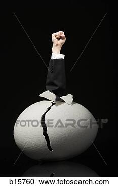 Stock Photography - cracked egg with 
clenched fist 
in business suit 
emerging. fotosearch 
- search stock 
photos, pictures, 
images, and photo 
clipart