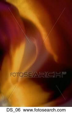 Stock Photo - an abstract of 
a blurred yellow 
flower. fotosearch 
- search stock 
photos, pictures, 
images, and photo 
clipart