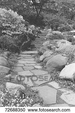 Hazır Fotoğraflar - patika,  kaya, 
 bahçe,  (b&w). 
fotosearch - foto, 
resim, görüntü 
ve foto klipart 
ara