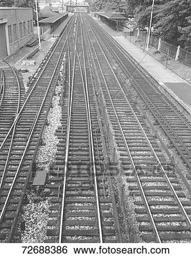 Stock Photo - railway tracks, 
(b&w). fotosearch 
- search stock 
photos, pictures, 
images, and photo 
clipart