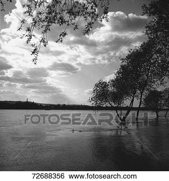 Stock Photo - trees by lake, 
(b&w). fotosearch 
- search stock 
photos, pictures, 
images, and photo 
clipart