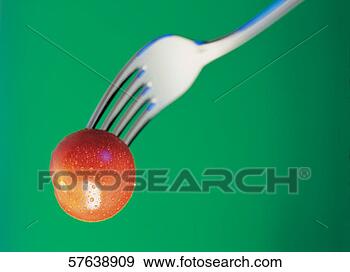 Stock Photograph - close-up of a 
fork holding a 
cherry tomato. 
fotosearch - search 
stock photos, 
pictures, images, 
and photo clipart
