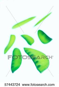 Stock Photo - close-up of an 
array of fresh 
flat beans. fotosearch 
- search stock 
photos, pictures, 
images, and photo 
clipart