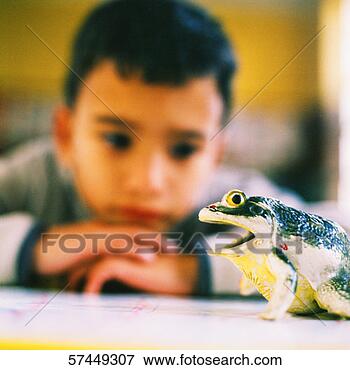 Picture - blurred close-up 
of a boy (6-8) 
sitting and looking 
at a toad. fotosearch 
- search stock 
photos, pictures, 
images, and photo 
clipart