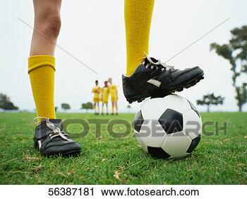 Stock Photography - low section view 
of a person with 
his one leg on 
a soccer ball. 
fotosearch - search 
stock photos, 
pictures, images, 
and photo clipart