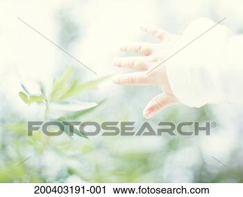 Stock Photography - child's hand reaching 
out for leaf. 
fotosearch - search 
stock photos, 
pictures, images, 
and photo clipart