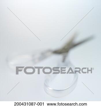 Arquivo de Fotografia - tesouras,  fim, 
 cima. fotosearch 
- busca de fotos, 
imagens e clipart