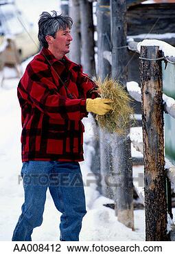 Stock Photo - man holding hay 
beside a corral. 
fotosearch - search 
stock photos, 
pictures, images, 
and photo clipart