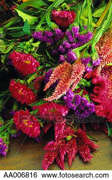 Stock Photo - still life of 
wildflowers. fotosearch 
- search stock 
photos, pictures, 
images, and photo 
clipart