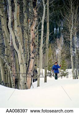 Picture - woman cross-country 
skiing through 
a forest. fotosearch 
- search stock 
photos, pictures, 
images, and photo 
clipart