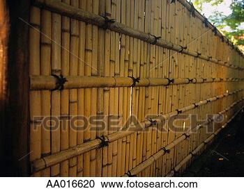 Stock Photography - bamboo fence. 
fotosearch - search 
stock photos, 
pictures, images, 
and photo clipart