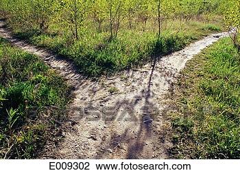 Stock Photo - fork in nature 
trail. fotosearch 
- search stock 
photos, pictures, 
images, and photo 
clipart