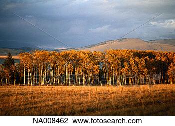Stock Photo - red rock lake 
landscape. fotosearch 
- search stock 
photos, pictures, 
images, and photo 
clipart