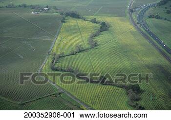 Stock Photography - bare wine vines 
with highway, 
 aerial view, 
 early spring, 
 napa. fotosearch 
- search stock 
photos, pictures, 
images, and photo 
clipart